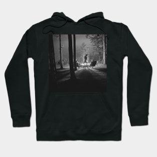 Hell on Earth Album Cover Hoodie